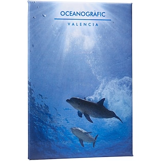 Magnet Epic 90 x 65 mm