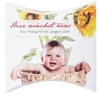 Växtsystem Sunshine