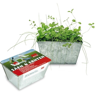 Kryddträdgård Herb